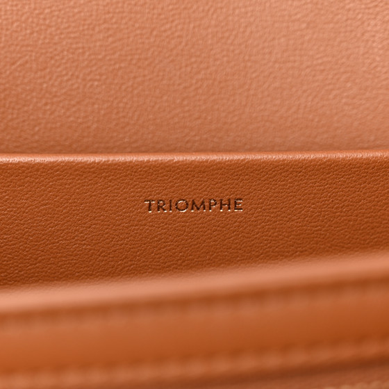 CELINE Textile Natural Calfskin Medium Triomphe Bag Green