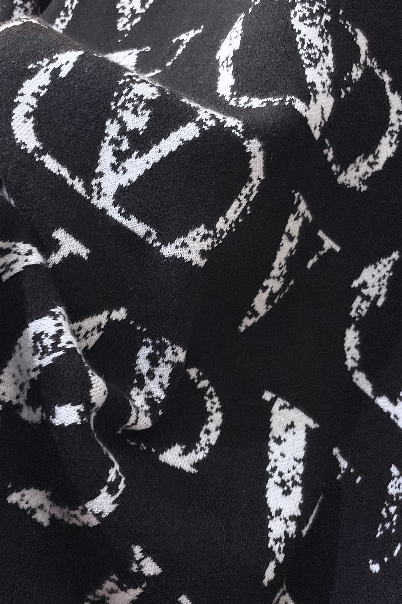 VA??Valentino 2024 Fall/Winter