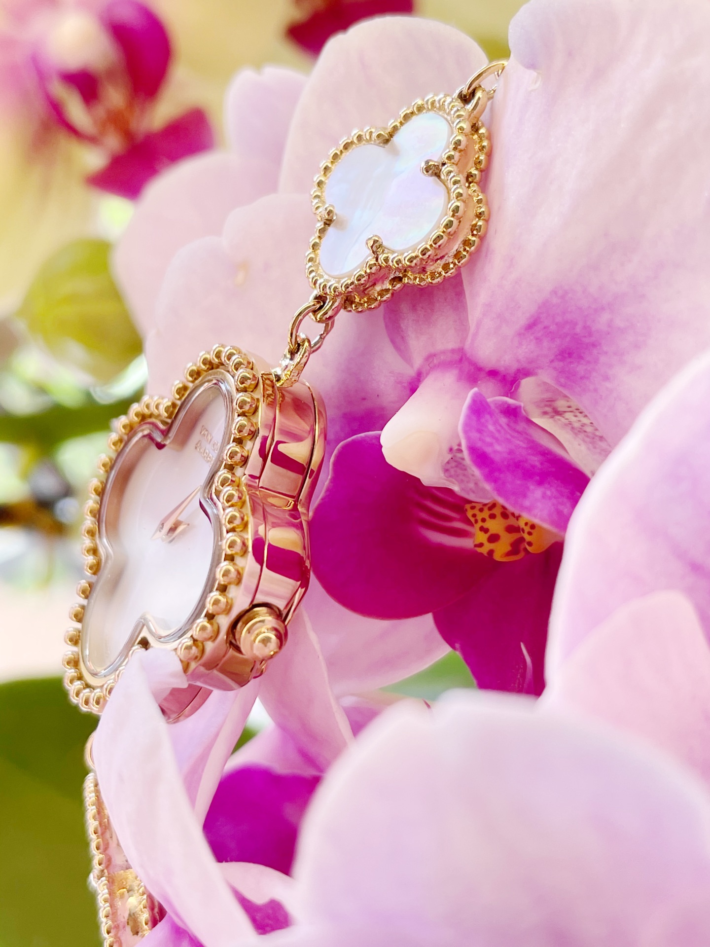 Van Cleef & Arpels? Series: Alhambra Bracelet Series